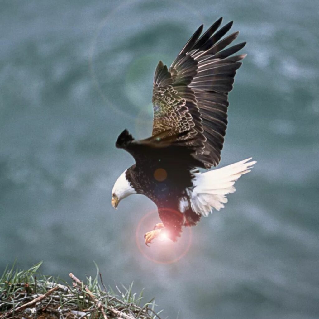 Apprentissage chamanique complet